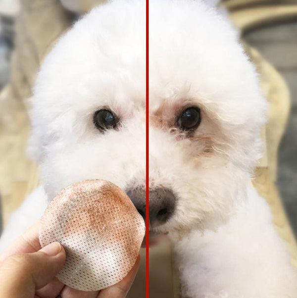 Pets to tears wipes Teddy Bear Xiong Bomei cat eyes tear stains cleaning paper towels pet supplies 100 pieces - Yahko Merchandise
