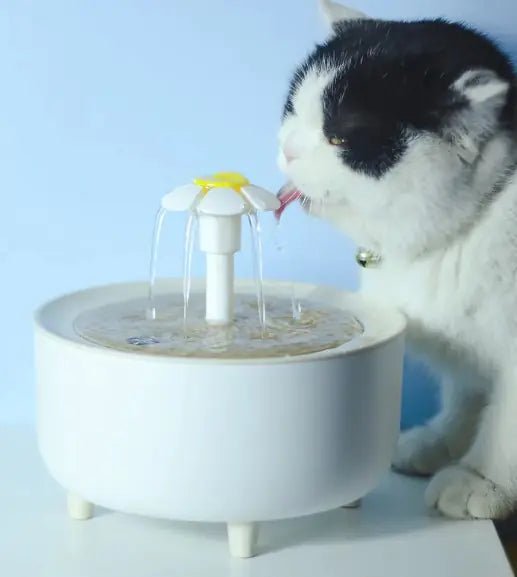 Pets Water Fountain - Yahko Merchandise