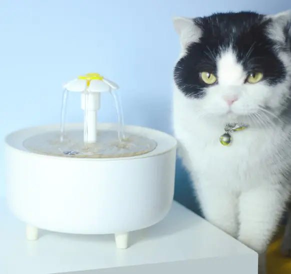 Pets Water Fountain - Yahko Merchandise