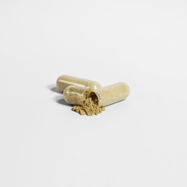 Premium Moringa Pure Nutrient - Rich Superfood For Energy Wellness - Yahko Merchandise
