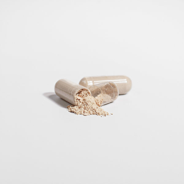 Premium Reishi Mushroom Immune Support, Stress Relief, And Overall Wellness - Yahko Merchandise