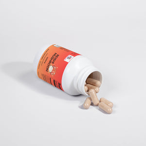 Premium Reishi Mushroom Immune Support, Stress Relief, And Overall Wellness - Yahko Merchandise
