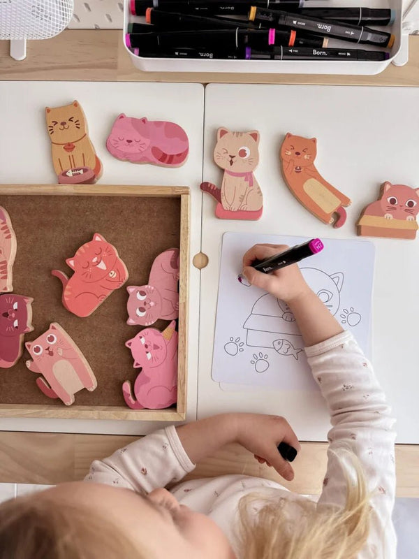 QToys Australia (USA) Cat play set & colouring - Yahko Merchandise