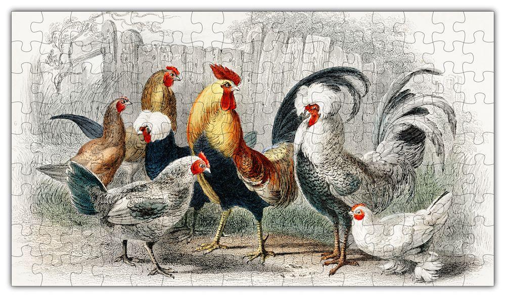 Rooster Puzzle 6705 - Yahko Merchandise