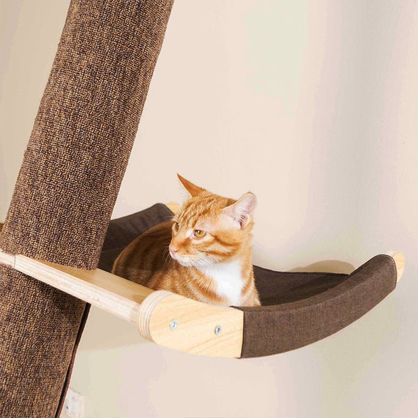Solid Wood Large Cat Climbing Frame Cat Litter Cat Tree One Cat Shelf - Yahko Merchandise