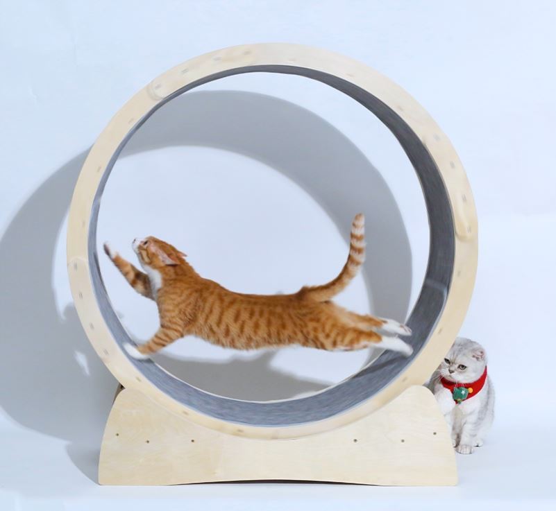 Special Toys For Cat Treadmill Roller - Yahko Merchandise
