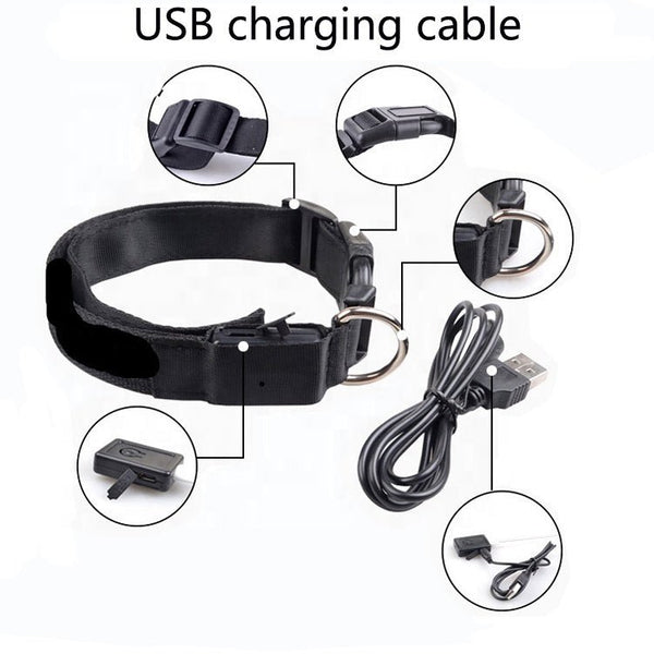 USB RECHARGEABLE LED PET DOG COLLAR - Yahko Merchandise