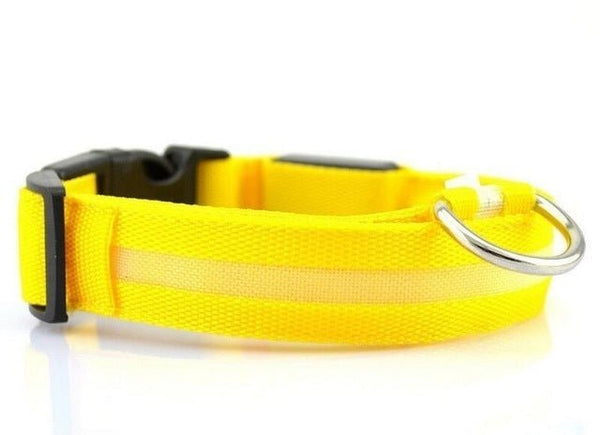 USB RECHARGEABLE LED PET DOG COLLAR - Yahko Merchandise