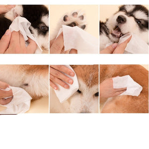 Wet wipes for pets - Yahko Merchandise