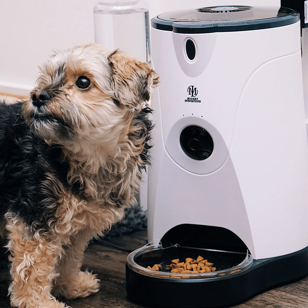WiFi Pet Feeder - Yahko Merchandise