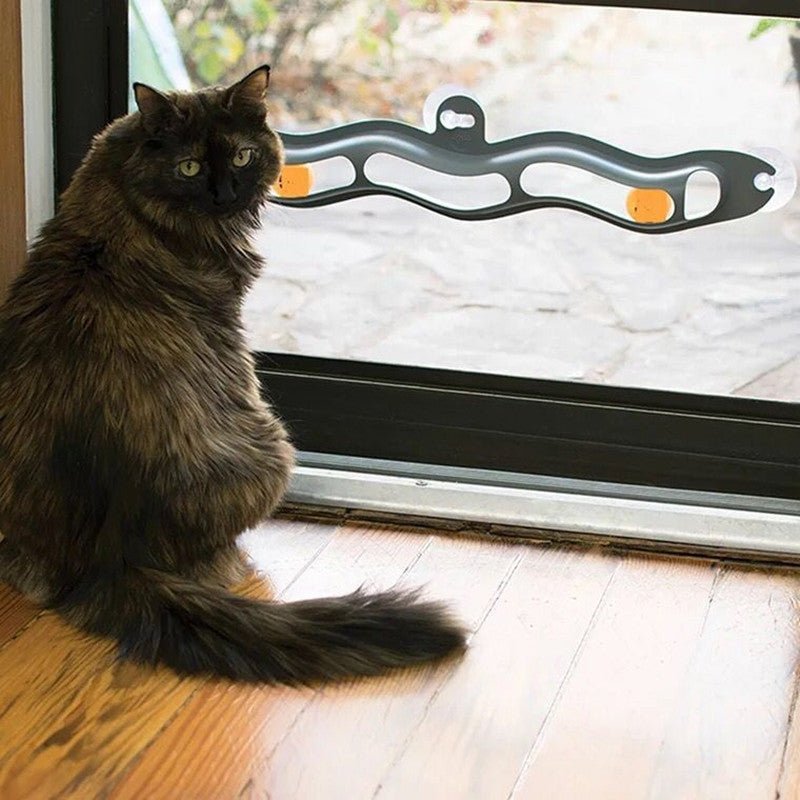 Windowsill Pets Toy Cat Track Ball Pet Products - Yahko Merchandise