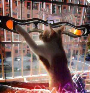 Windowsill Pets Toy Cat Track Ball Pet Products - Yahko Merchandise