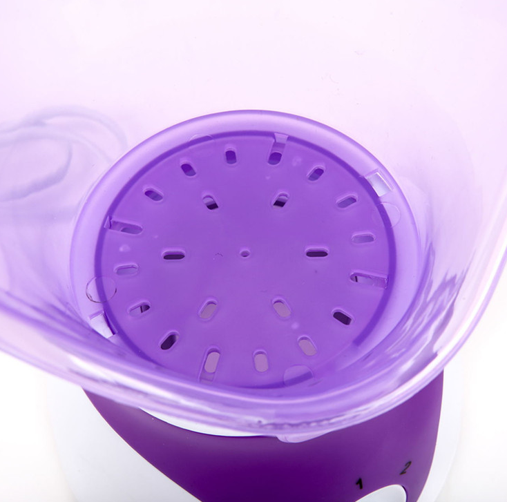 Hot Moisturizing Face Spray Steamer