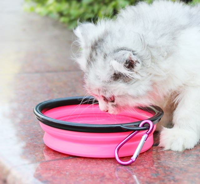 Pet Water Bottle Dispenser