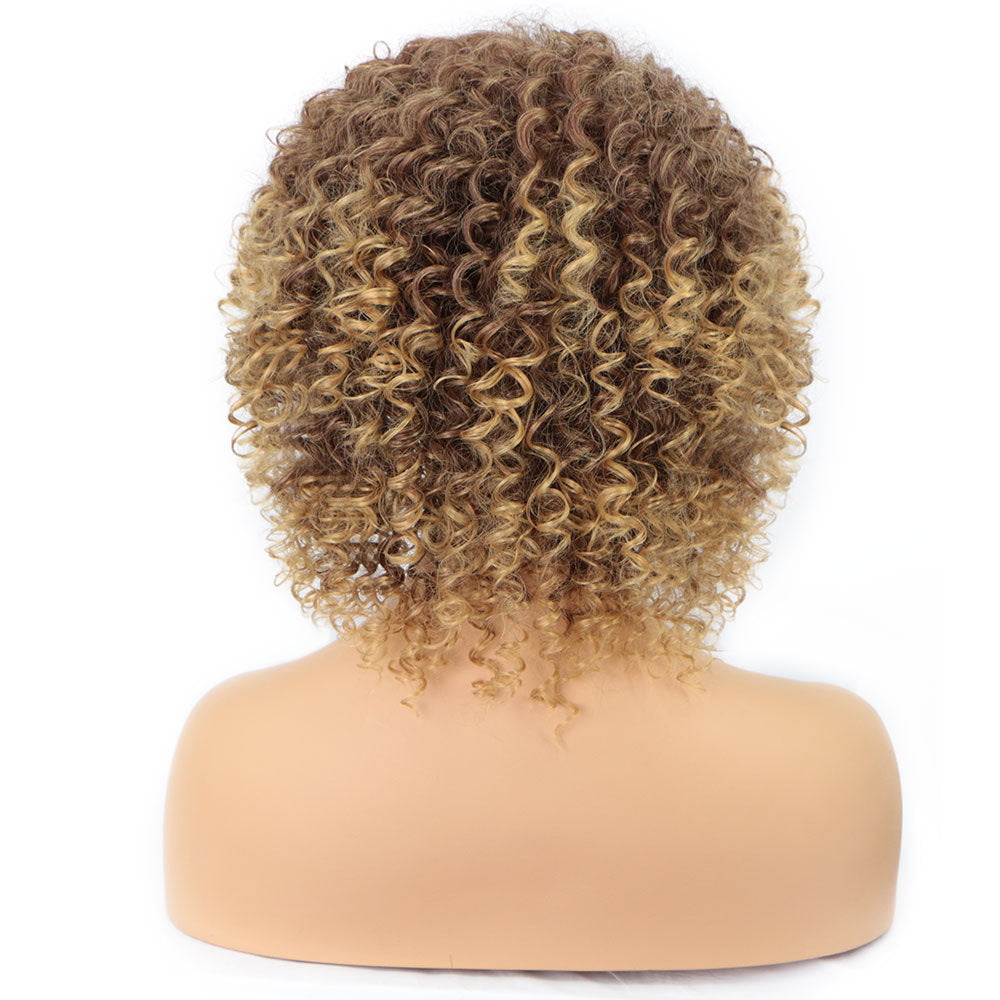 Cross-Border Small Curly Ladies Wigs