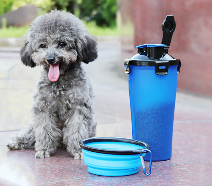 Pet Water Bottle Dispenser