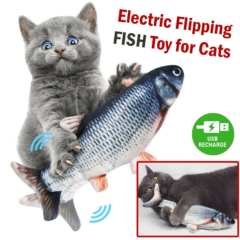 Electric Fish Toy